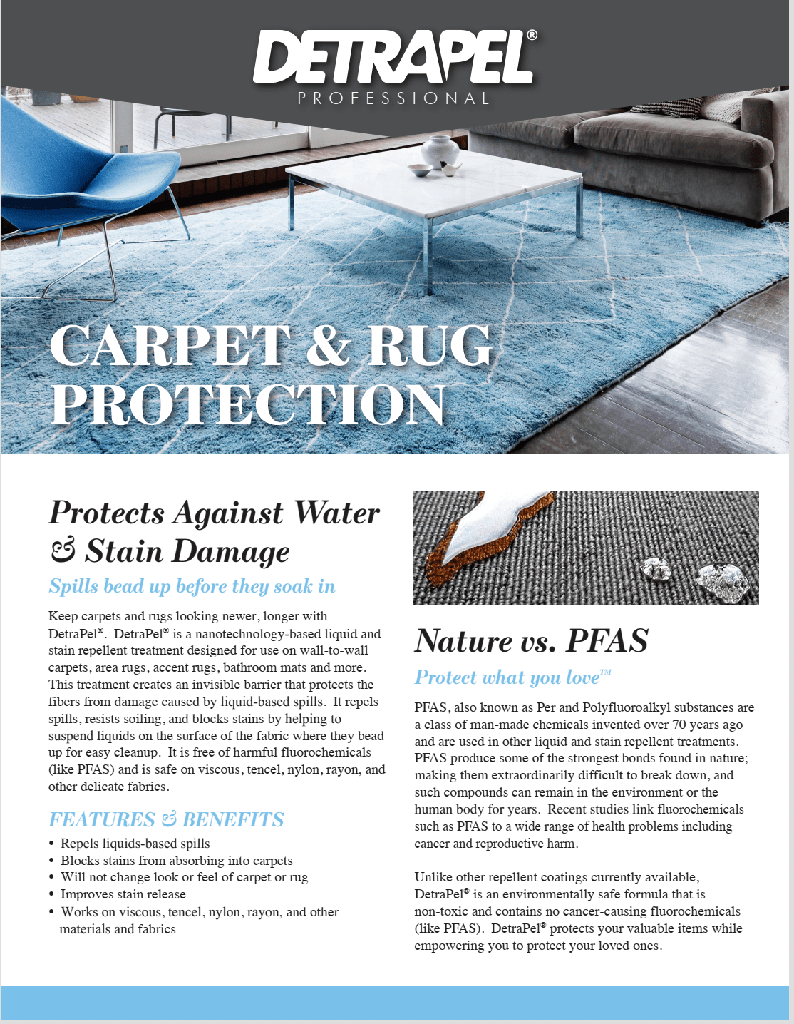 Best Rug Protectant Cleaning