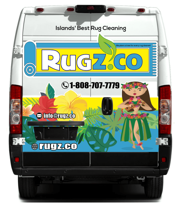 rug cleaning pickup and delivery