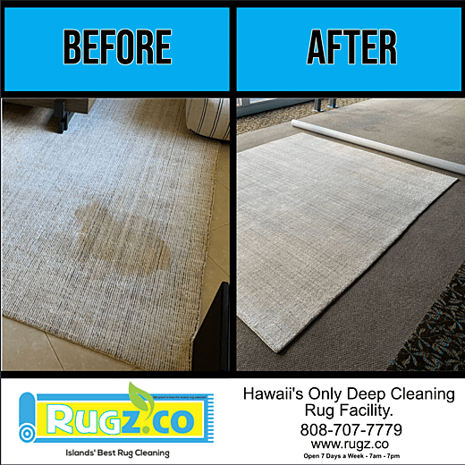 RUGZ - RUG CLEANING EX1