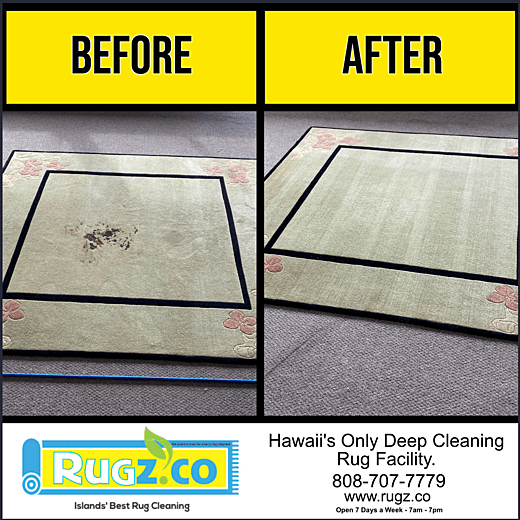 RUGZ - RUG CLEANING EX3