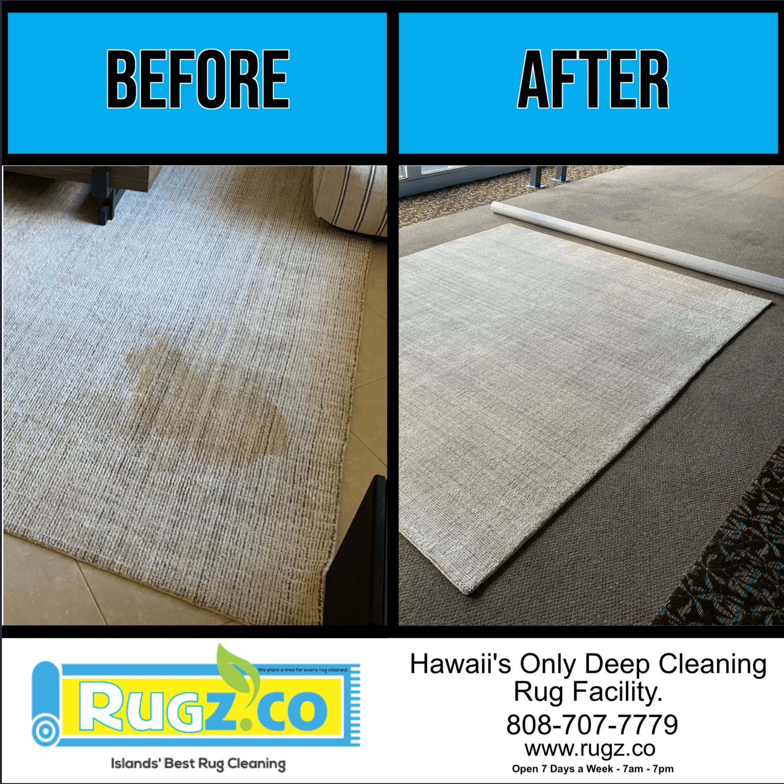 RUGZ - RUG CLEANING EX1