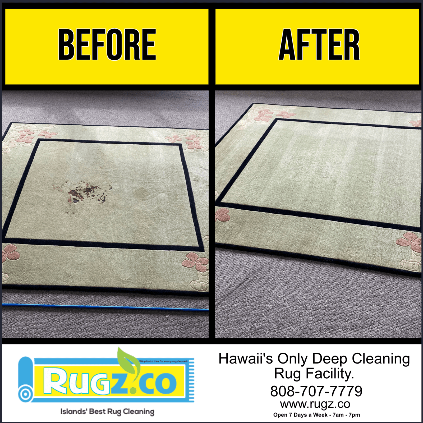 RUGZ - RUG CLEANING EX3