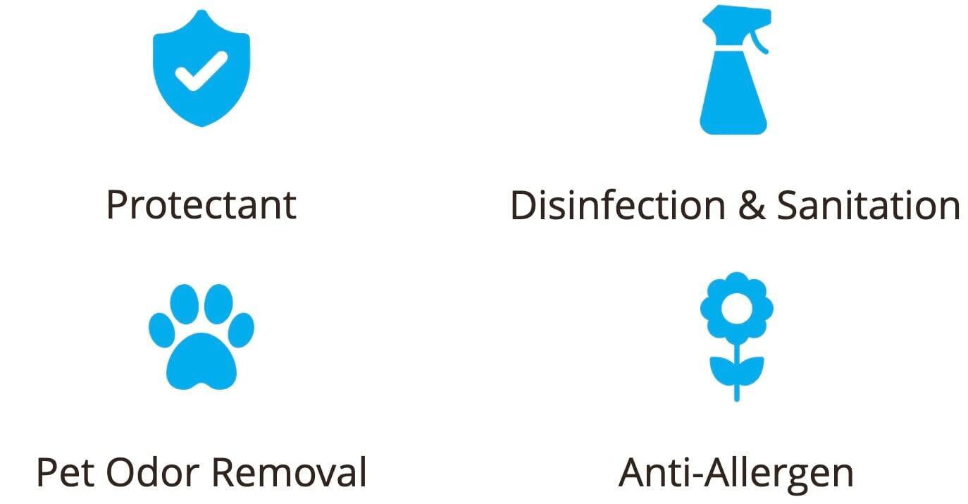 professional upholstery cleaning